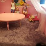 20180705_100727-kopiowanie