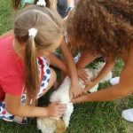 20180706_093530-kopiowanie