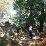 20180928_103406_resized-kopiowanie