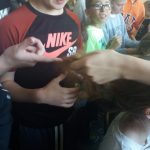 20181001_113617-kopiowanie