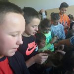 20181001_113623-kopiowanie