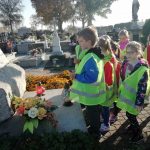 42392441_309315899663923_6337653428444987392_n-kopiowanie