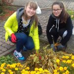 44881131_265530850771106_5975623367980482560_n