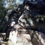 received_172624523660231_resized-kopiowanie