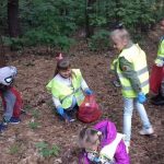 received_698193183869455-kopiowanie