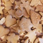 48387044_1983069708467783_8669612729331351552_n