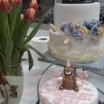 54730658_407805386714940_1745031142051938304_n