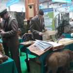 55686824_1166988450135682_8232192253221666816_n