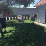 c7f193a0-b410-4540-a71b-cc20137c97a0-kopiowanie