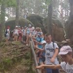 f8147f6a-4b6a-4dbc-8f3e-8a047bec0253-kopiowanie