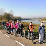 2217c5ee-ad3a-4fab-af97-8c1cc41e1771-kopiowanie