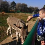 7015103b-ea05-4bc6-aa22-aa7cc39cb18e-kopiowanie