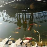 9e28e347-2b62-47b8-9f45-e596e389331f-kopiowanie