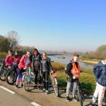 d8c4bcdd-36b1-4640-b095-8a6705dfdebb-kopiowanie