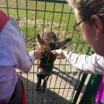 fbe4a584-5d2e-4409-aebc-da6edbe0e100-kopiowanie