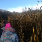 received_2777755415581516