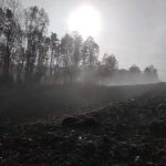 received_719184388586756-1