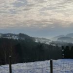 da781fb2-deb9-4927-bbbb-f629b9fe5d0b-kopiowanie