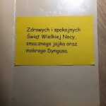 22c61f7e-c7d8-4e68-8b1d-421611f74a63-kopiowanie