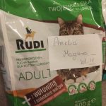 132027768_1053765508471996_7440049822398681441_n-kopiowanie