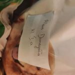 132190828_1053765425138671_1844077764917562262_n-kopiowanie