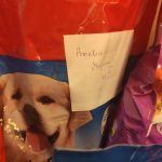 132229923_1053765518471995_1976506046512458293_n-kopiowanie