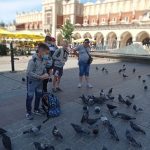 6-karmienie-golebi-kopiowanie