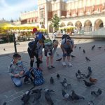 7-karmienie-golebi-kopiowanie