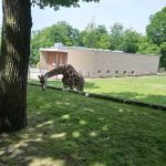 img_20210615_135636-kopiowanie