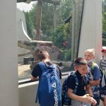 img_20210615_143752-kopiowanie