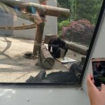 img_20210615_143820-kopiowanie