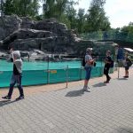 img_20210615_145855-kopiowanie