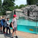 img_20210615_150003-kopiowanie