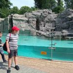 img_20210615_150009-kopiowanie