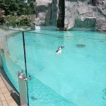 img_20210615_150027-kopiowanie