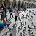 246287825_1249487008899844_8882777790826911467_n-kopiowanie