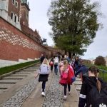 246836950_1249486635566548_5762318906234764041_n-kopiowanie