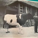 247392272_1249634958885049_2731244119824471820_n-kopiowanie