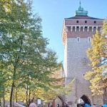 248547463_1251615882020290_2578653754421639910_n